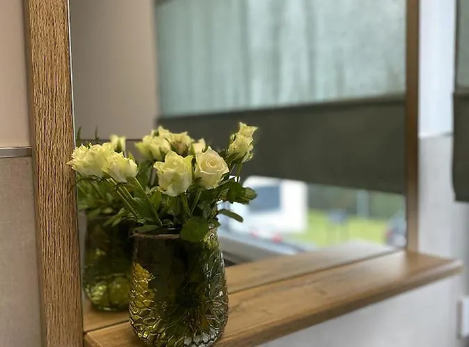 Apartament Modernes Am Hafen Mit Seeblick Grossraeschen